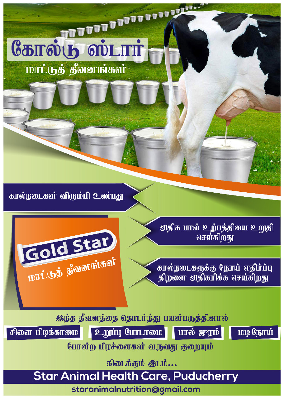 Best Cattle Feed Manufacturers in Pondicherry Vanur Villupuram