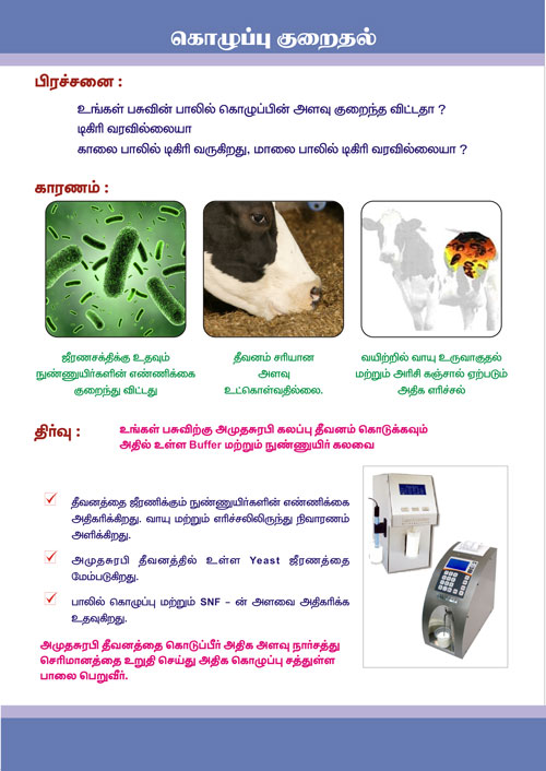 Cattle Feed Manufacturers suppliers Tamilnadu Pondicherry