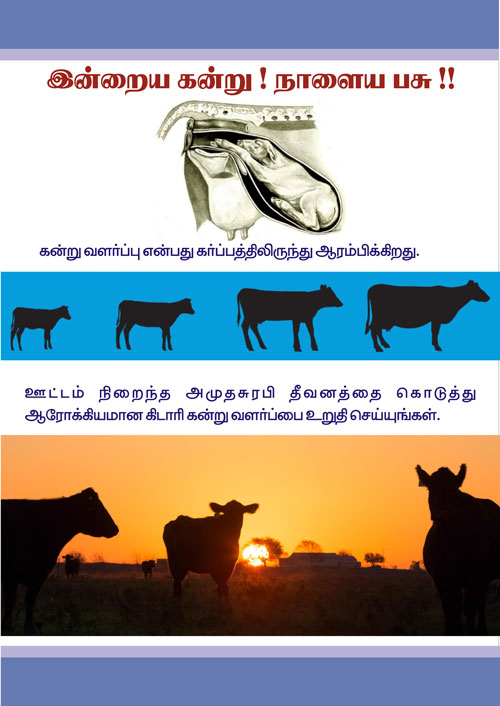 Cattle Feed Manufacturers suppliers Tamilnadu Pondicherry