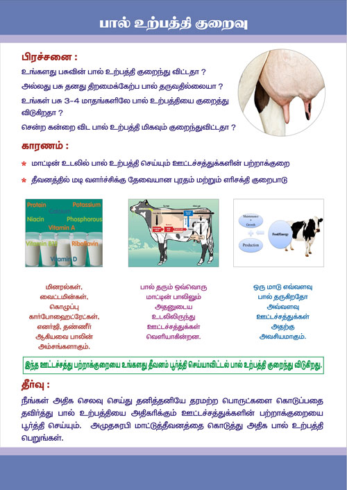 Cattle Feed Manufacturers suppliers Tamilnadu Pondicherry