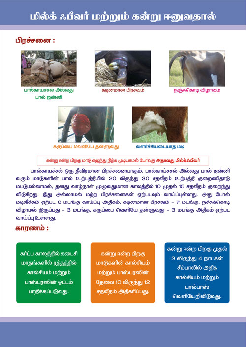 Cattle Feed Manufacturers suppliers Tamilnadu Pondicherry